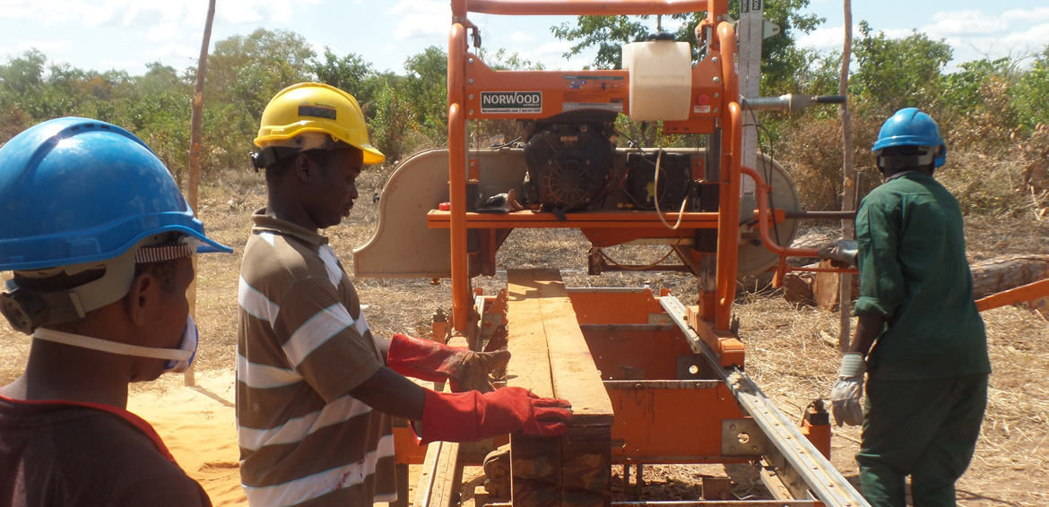Ett mobilt sågverk sågar trädslaget Mninga (Pterocarpusangolensis) – ett vackert och värdefullt virke. Sågverket skapar mervärden för byskogsbruket. Foto: MCDI/TANZANIA