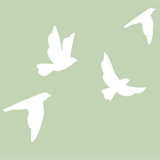Illustration fåglar