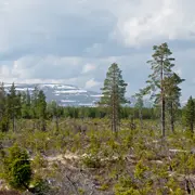 Västerälven