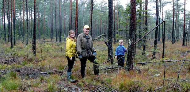 Tre generationer. Snart överlåter Sture skogen på dottern Anne och barnbarnet Fredrik.